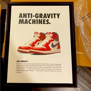 2 Jordan shoes canvas 11X14
